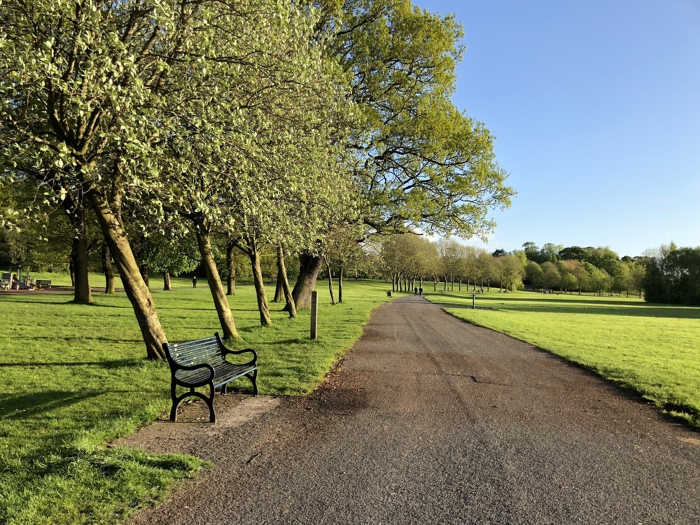 Studiare al parco