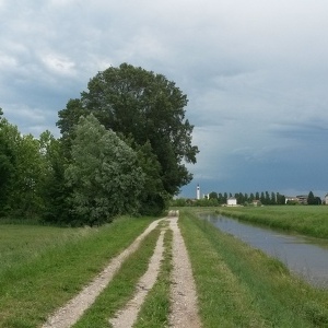 Vento 